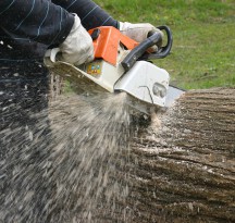 Girou bois de chauffage toute l'année photo pile de bois
