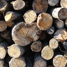 Girou bois Livraison bois de chauffage cheminée poele à bois