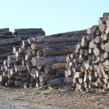 Girou bois Livraison bois de chauffage cheminée poele à bois