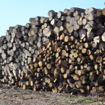 Girou bois Livraison bois de chauffage cheminée poele à bois